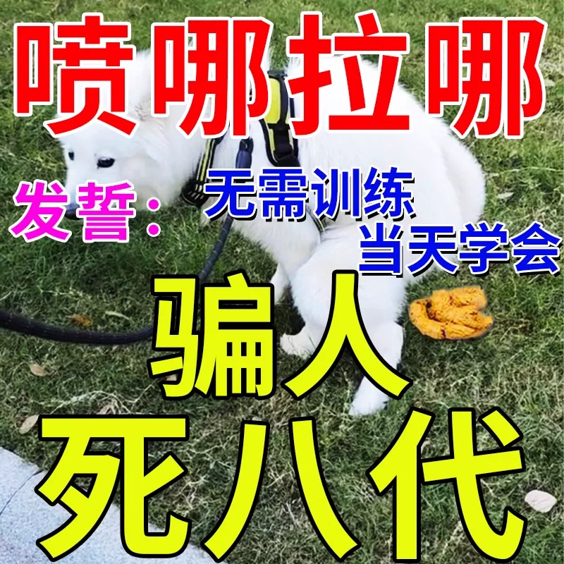 狗狗定点排便神器训练宠物小狗上厕所诱导剂防止狗狗乱拉屎大小便