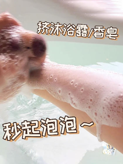 卡皮巴拉沐浴海绵球可爱洗澡洗脸清洁用具搓澡起泡不散超柔软海绵