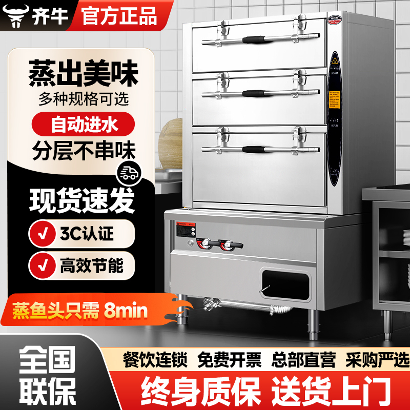 Seafood Steaming Cabinet, Commercial Gas Three-Door Hotel Cafeteria Stewing Steamer, Vegetable Oil Kitchen Vegetable and Fish Cabinet, Electric Steamer Seafood Steaming Cabinet, Commercial Gas Three-Door Hotel Cafeteria Stewing Steamer, Vegetable Oil Kitchen Vegetable and Fish Cabinet, Electric Steamer
