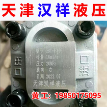 Tianjin Hanxiang CBT-F304 CBT-F304 F306 F306 F310 F316 F314 F320 F325 F325 F325 hydraulic gear pump