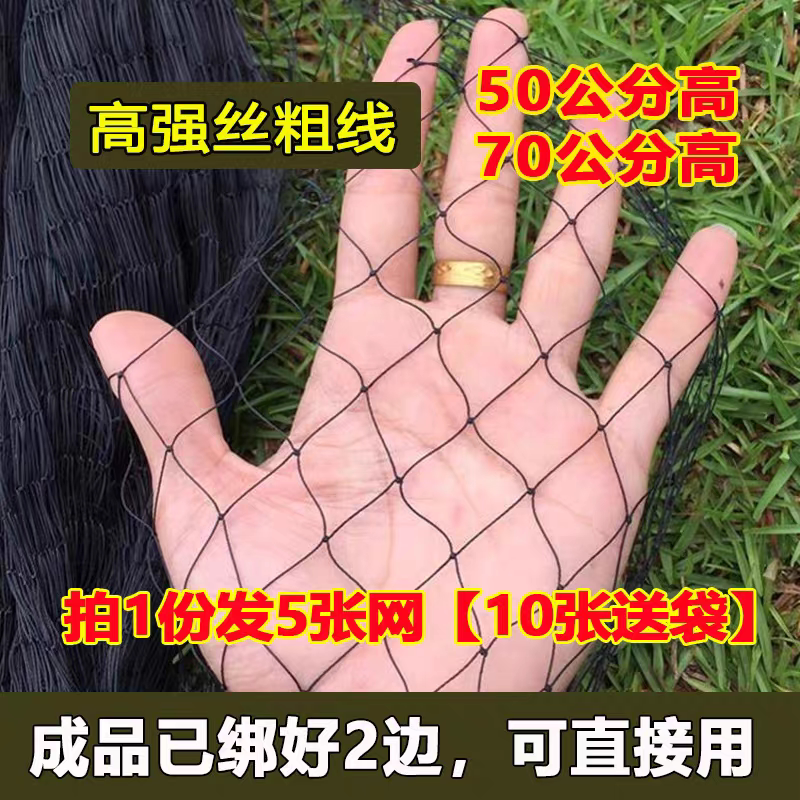 Special Insect-Proof Black Net for Spicy Strips 20m Long Double-Knotted Soft Nylon Net for Schools, Campuses, Factories, Villas, Scenic Spots, and Snake Prevention Special Insect-Proof Black Net for Spicy Strips 20m Long Double-Knotted Soft Nylon Net for Schools, Campuses, Factories, Villas, Scenic Spots, and Snake Prevention
