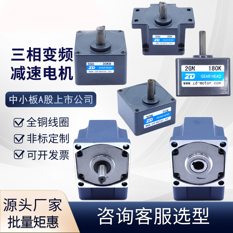 Zd Zhongda Motor Reduction Gear Micro Reducer 2Gn/3Gn/4Gn/5Gn/5Gu/6Gu Speed Ratio Optional