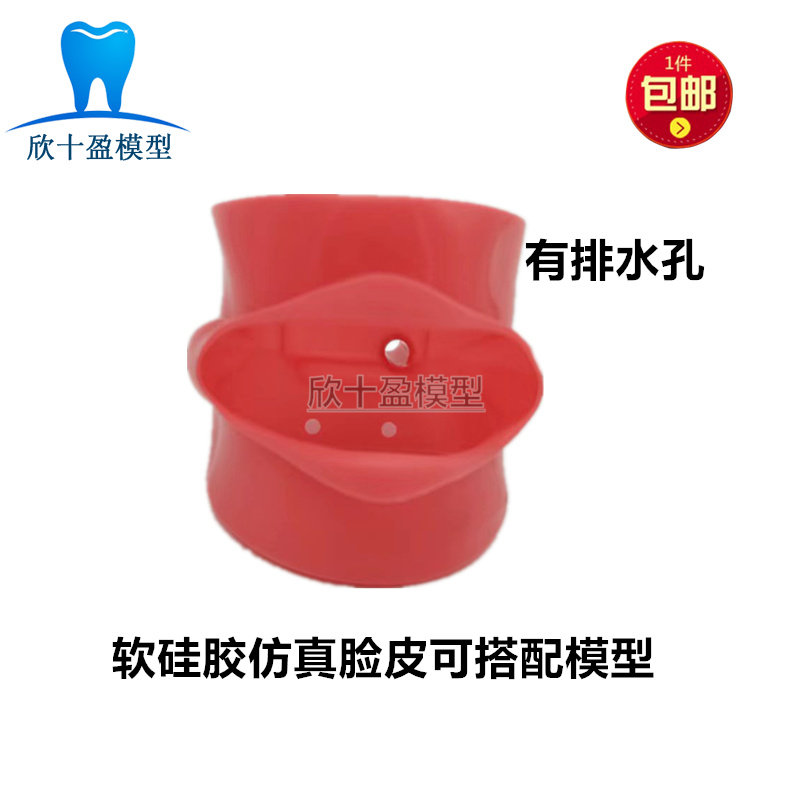 牙科口腔模型学生拔牙练习备牙练习仿真脸皮标准款软硅胶脸皮包邮