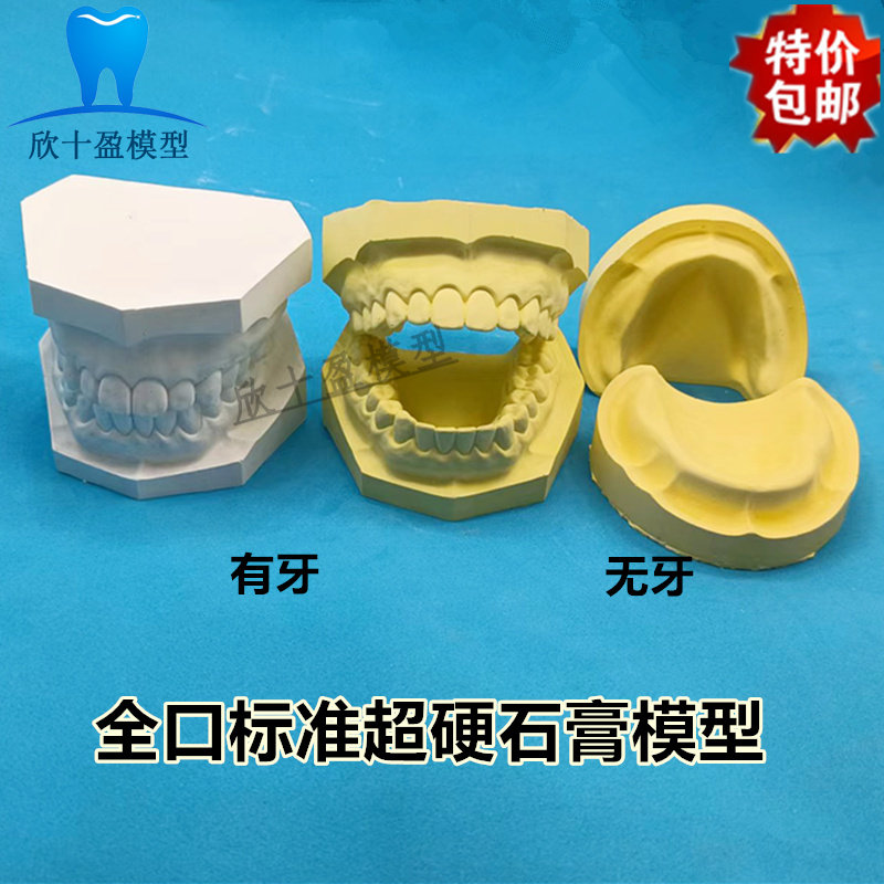 牙科材料假牙标准石膏模型 有牙 无牙 全口超硬石膏模型 口腔教学