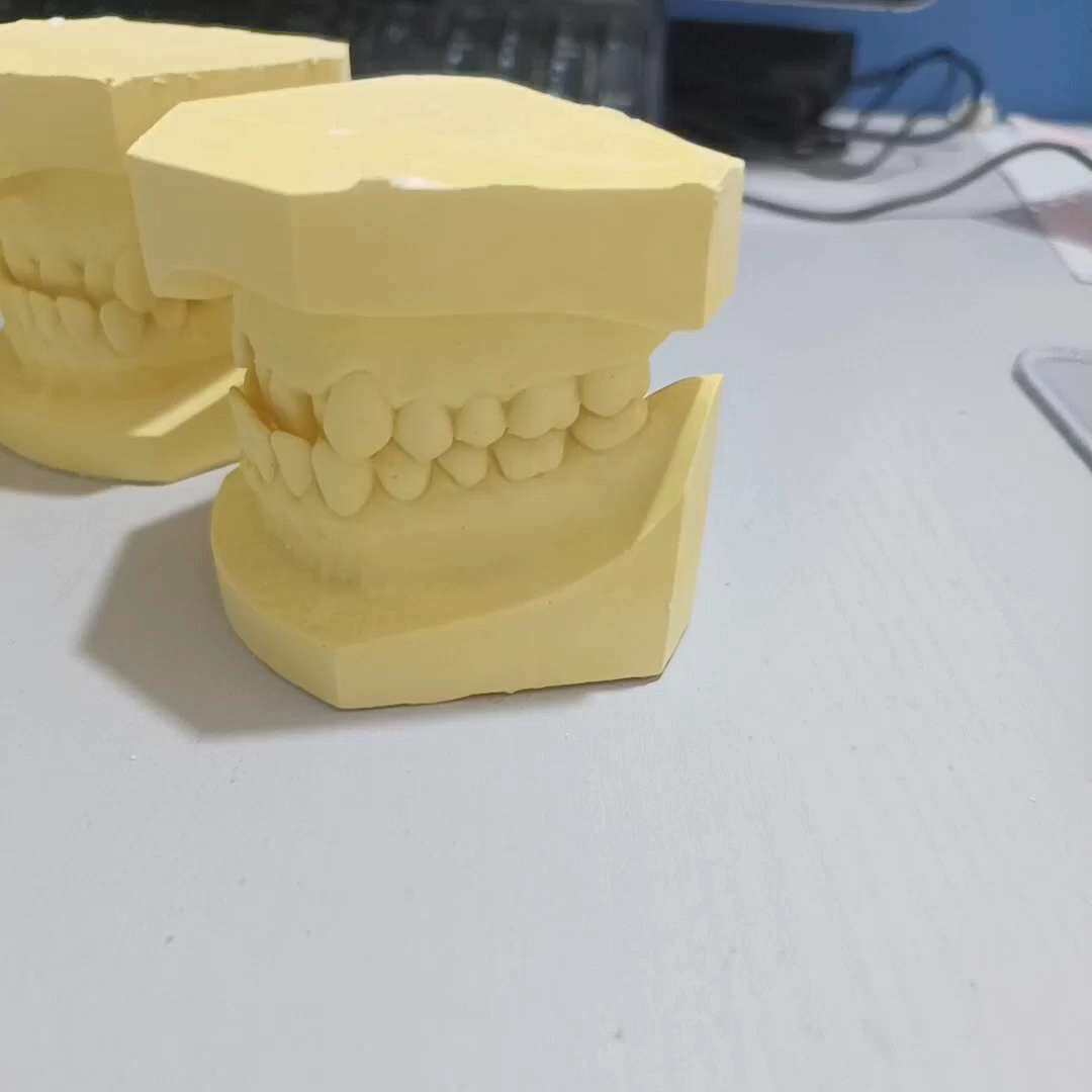 牙科安氏正畸错颌石膏展示模型值得买吗？医学生必看测评！_口腔护理设备礼盒_淘宝美妆网