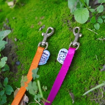 Miamia light series leash