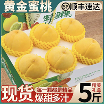 (Sweet) Splendid yellow peach fresh peach yellow peach soft waxy crisp sweet seasonal peach seasonal fruit peach gift box