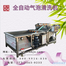 Vegetable washing machine fruit washing machine mango and grape cleaning and processing line large dandelion and jujube bubble washing machine