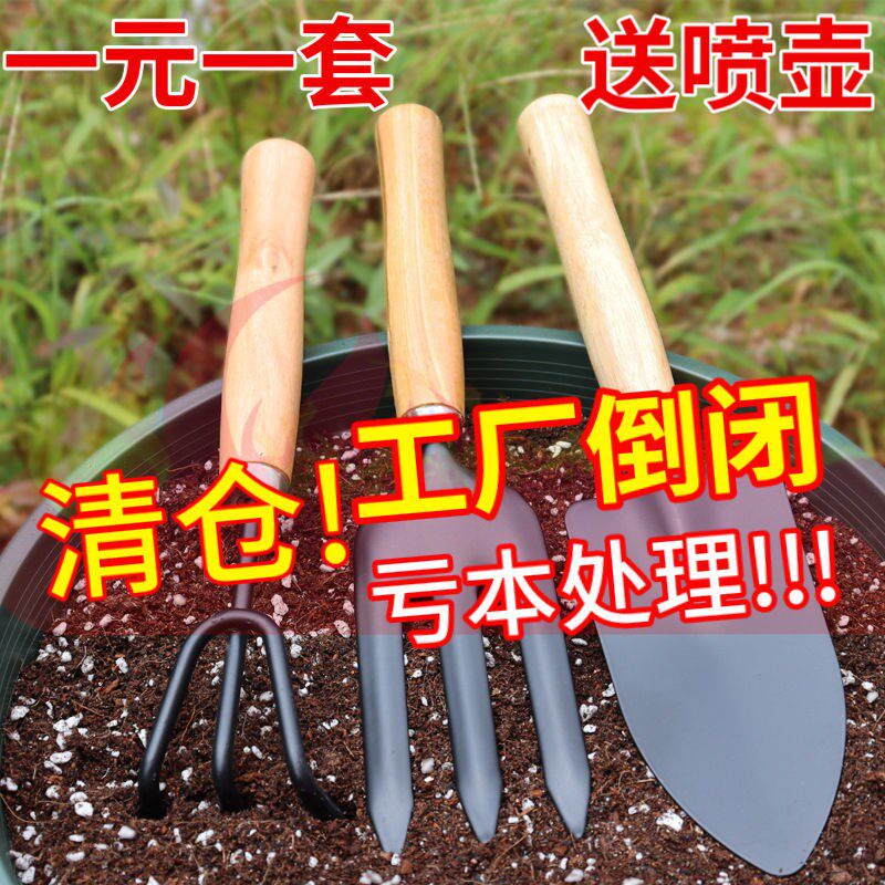 Garden Large Three Piece Pot Material Pine Flower Tools Seeds Small Horse Iron Rock Horticultural Thick Shovel
