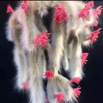 Jiuwei Fox Multimeat Long Hair Long Hair Cactus Corplant Authentic Soft Hair Band Root Rare Indoor Fun Monkey Tailpole