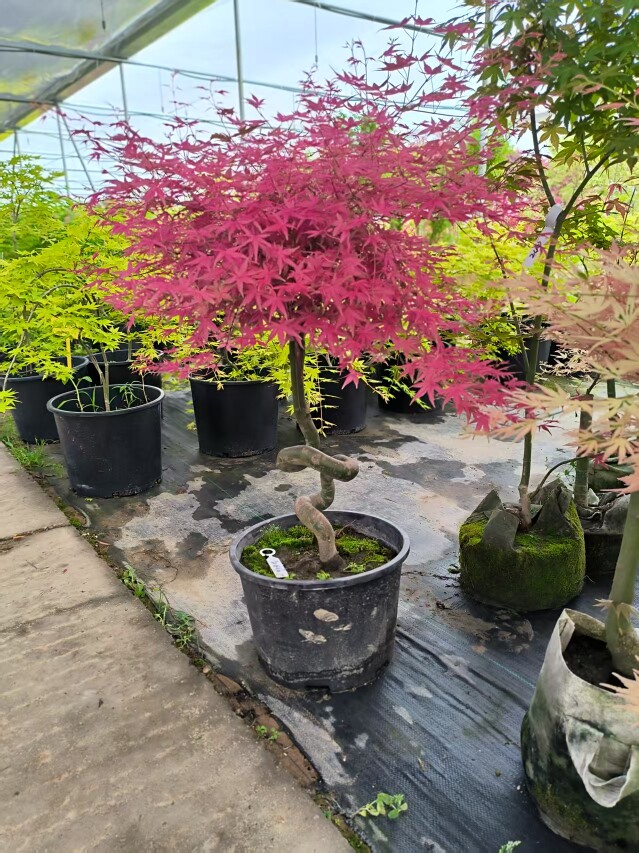 京华美景基地