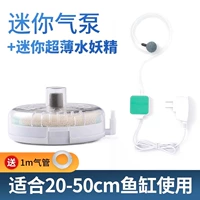 Маленькая водяная фея+мини -кислородный насос (супер молчание)