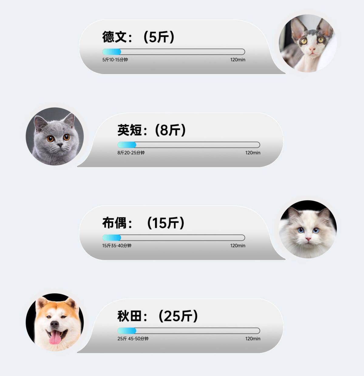 ПЭТ сушильный элемент paofu宠物烘干机猫咪烘干箱狗狗全自动智能洗澡吹水干毛静音家用