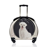 Чемодан, тележка, портативный космический рюкзак для выхода на улицу, домашний питомец, кот