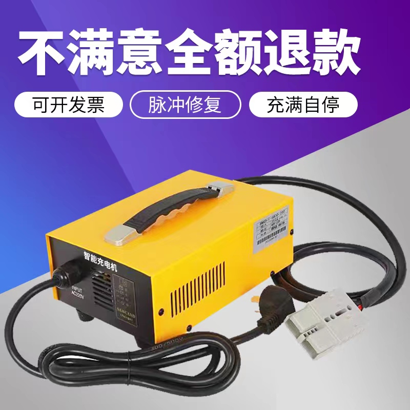 Electric Forklift 12V24V30A Patrol Car 72V48V25A Tricycle Lift Truck Four-Wheel Sightseeing Car Charger