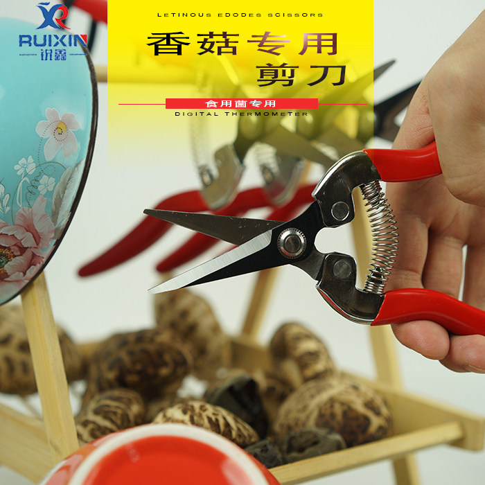 Edible mushroom scissors dried shiitake mushroom leg scissors Shiitake mushroom scissors Shiitake leg scissors