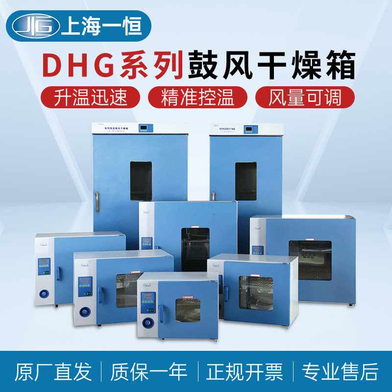 一恒电热恒温鼓风干燥箱实验室DHG9030A/9070A数显工业烤箱烘干箱