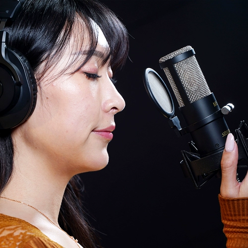 797Audio M5 Professional Дагука конденсаторы микрофона запись звукозаписи звуковой книжную книгу Якорь k Song Special Equipment