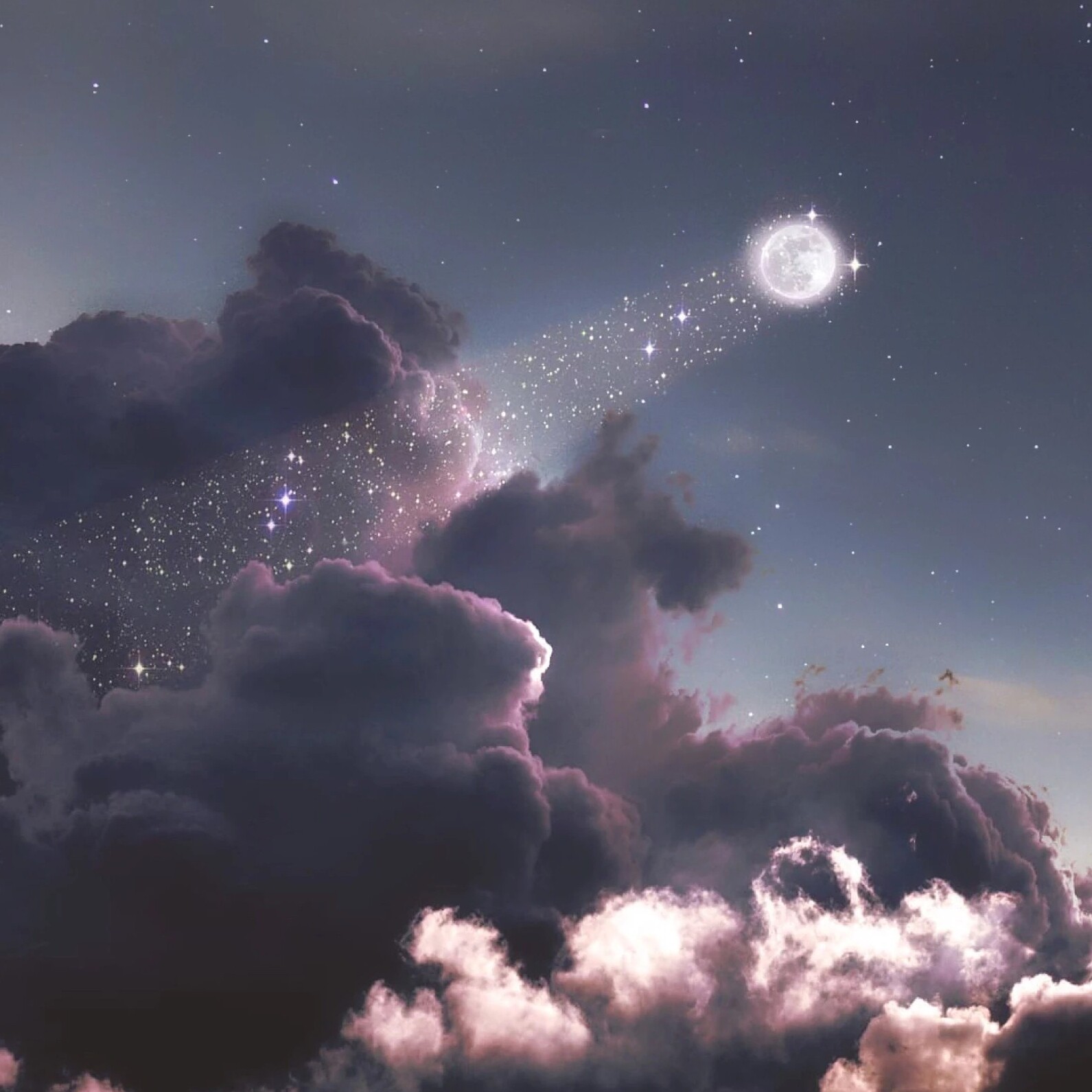星礼遇甄选