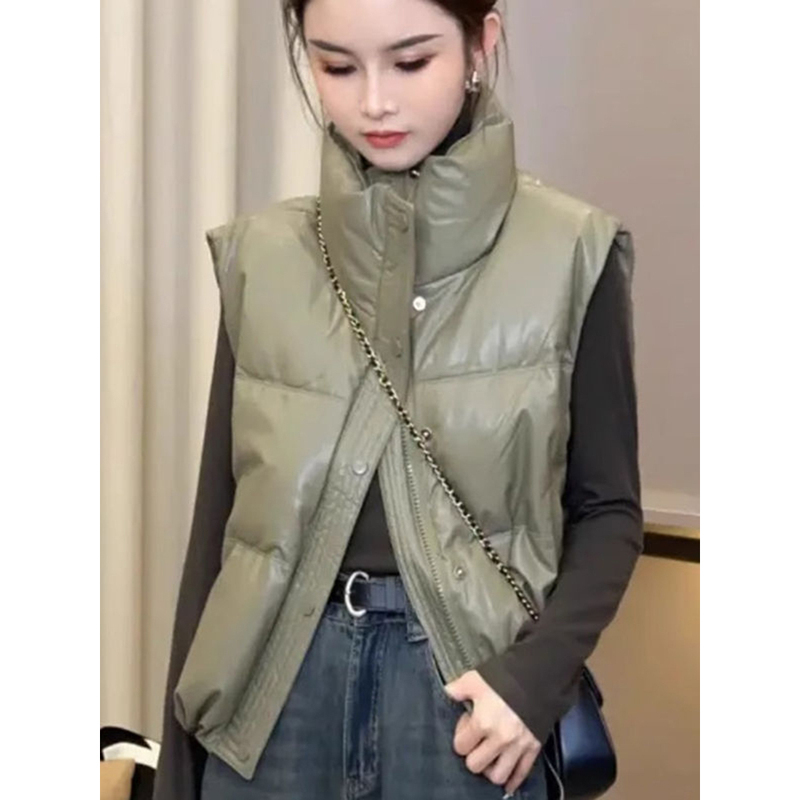 Fashionable and Simple Stand-Collar Sleeveless down Cotton Vest for Women, New Autumn and Winter Style, Super Stylish Loose Short Vest Jacket