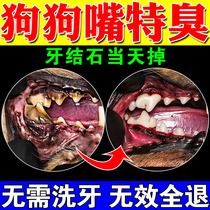 Dog dental calculus dissolves tartar quick-acting removal artifact softener mouth deodorant pet tooth cleaning spray