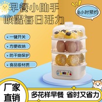 Household fully automatic egg cooker automatic power off multi-functional egg steamer mini dry-proof double-layer dormitory breakfast machine