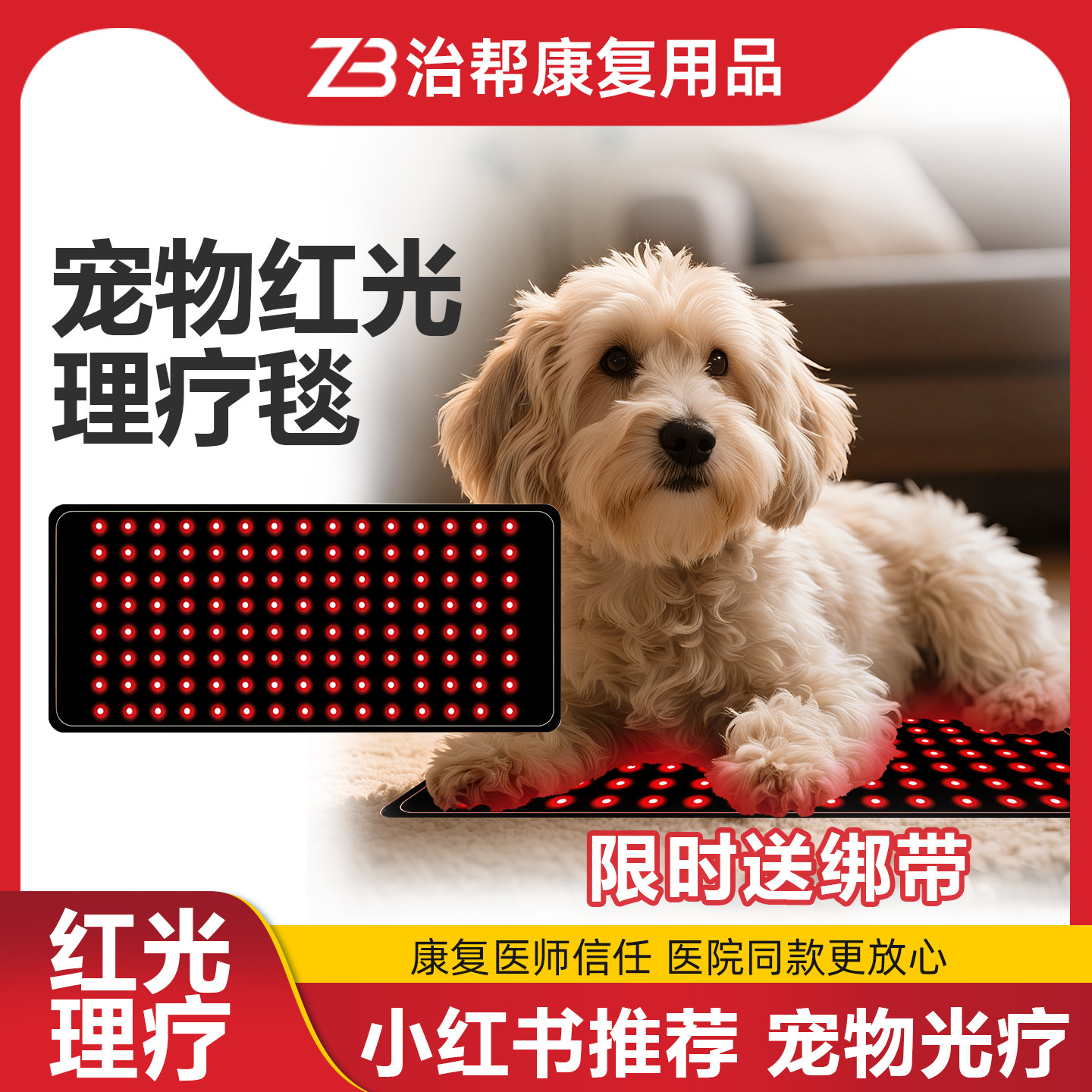宠物红外线理疗老年犬类狗狗骨折髌骨腰椎康复恢复关节猫咪红光带