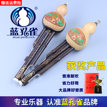Blue Peacock Hulusi C key K flat B key G F key D Yunnan musical instrument specialty beginners top ten brand flagship store