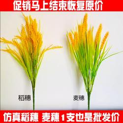 Simulation plastic wheat ears rice rice rice dried flowers plastic flowers shoot dance props outdoor living room placed flowers