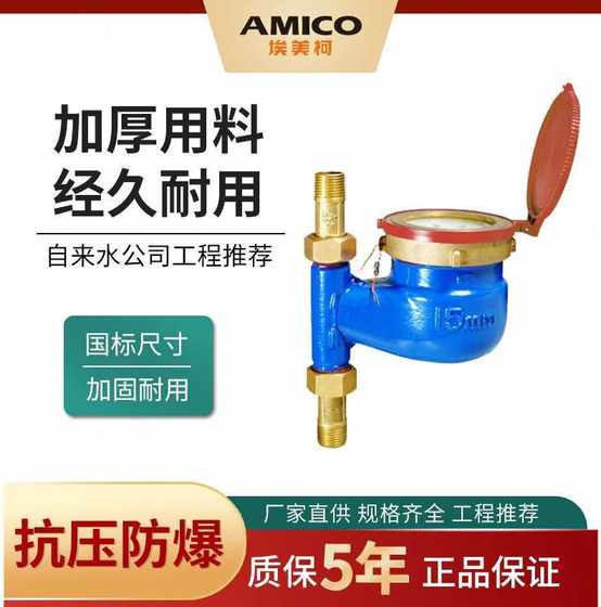 Amico 089 로터 수직 온수 미터 디지털 수돗물 온수 미터 가정용 4 분 6 분 1 인치 직경 와이어 입