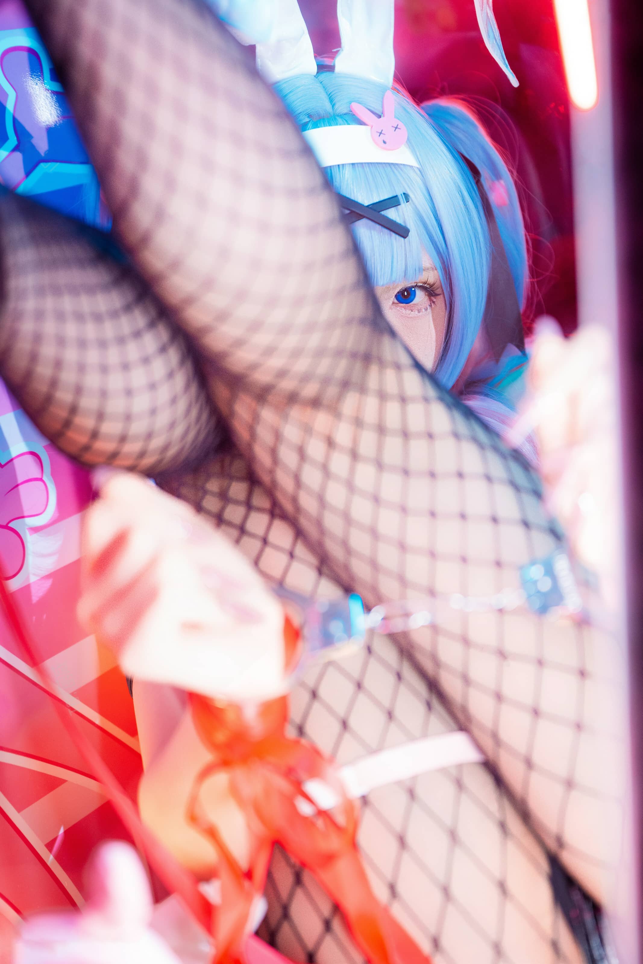 双木扶苏 绝区零 兔子洞