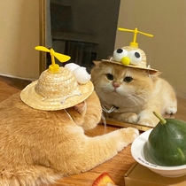 宠物草帽夏季中小型犬柴犬竹蜻蜓时尚网红帽狗狗猫咪卖萌搞笑拍照