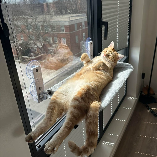 Всасывание окна чашка кошачья гамак гнезд четыре сезона универсальный подвесной балкон солнечный артефакт