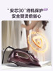 2025 New Supor Steam Electric Iron for Home Use, Handheld Small Garment Ironing Machine, Special for Tailoring Shops, Manual Operation