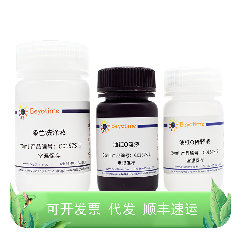 油红O染色试剂盒