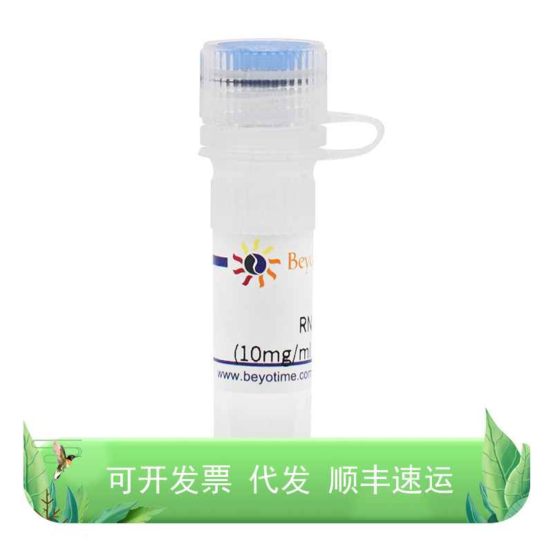 ST576 RNase A (10mg/ml, DNase free) 1ml