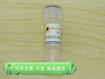 辣根过氧化物酶标记山羊抗人IgG(H+L) A0201 碧云天生物 Beyotime