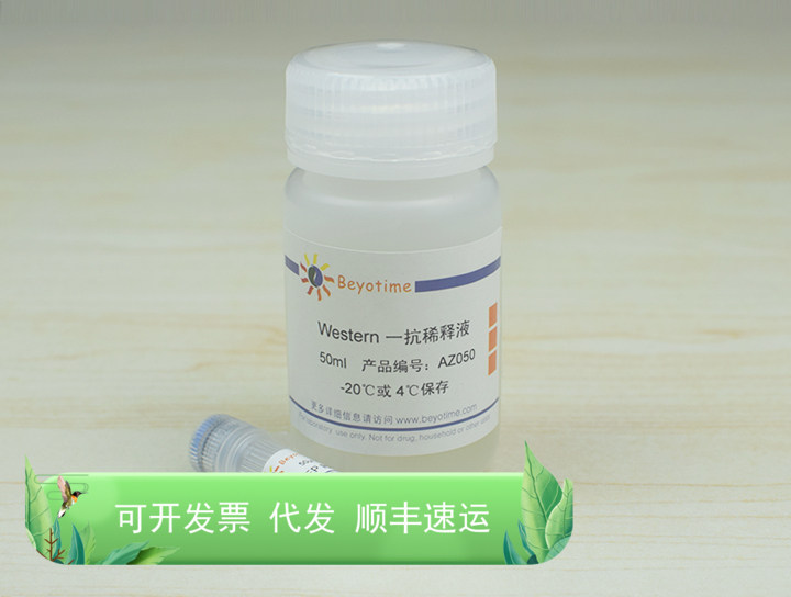 OOEP Rabbit Polyclonal Antibody AF0252 碧云天生物 Beyotime