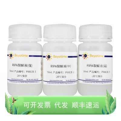 RIPA裂解液(强中弱套装)