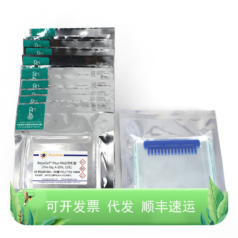 BeyoGel? Plus PAGE预制胶(Tris-Gly, 4-20%, 15孔)