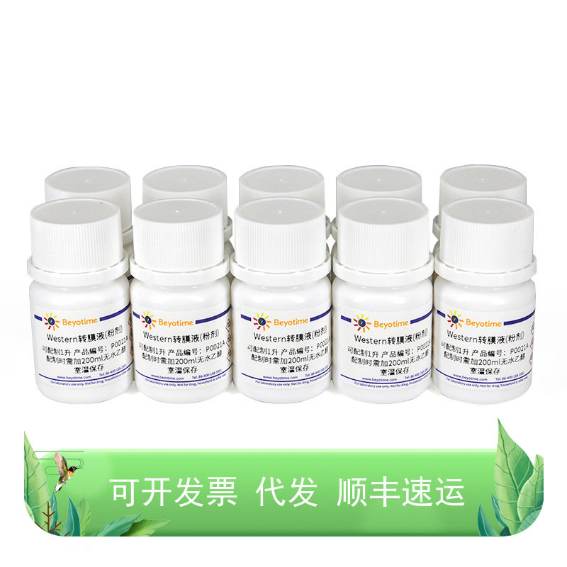 P0021B Western转膜液 10&times;1L