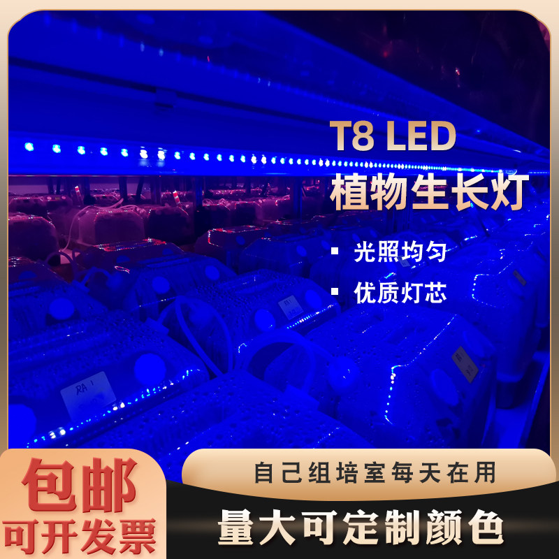 木木生物五蓝1白组培灯植物补光灯T8LED植物生长灯带开关灯育苗灯