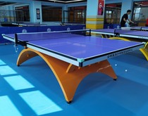 Gold Rainbow Ping Tennis Table Case Installation of Patent Competition Standard Rainbow Ping Tennis Table