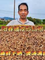 Yifeng Zhengzong Yangchun Dragon Sand Rind Root dry root boiled water cooking water dry cargo special to produce wild fresh spring sand Rengan