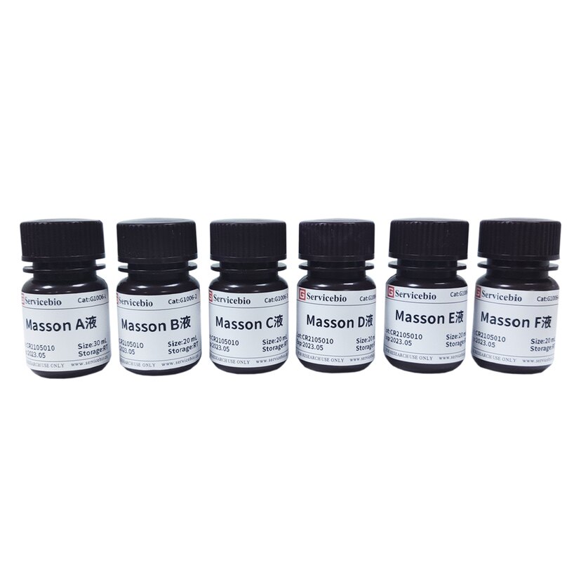 Servicebio 马松染液 Masson三色染色液 适用胶原纤维组织染色