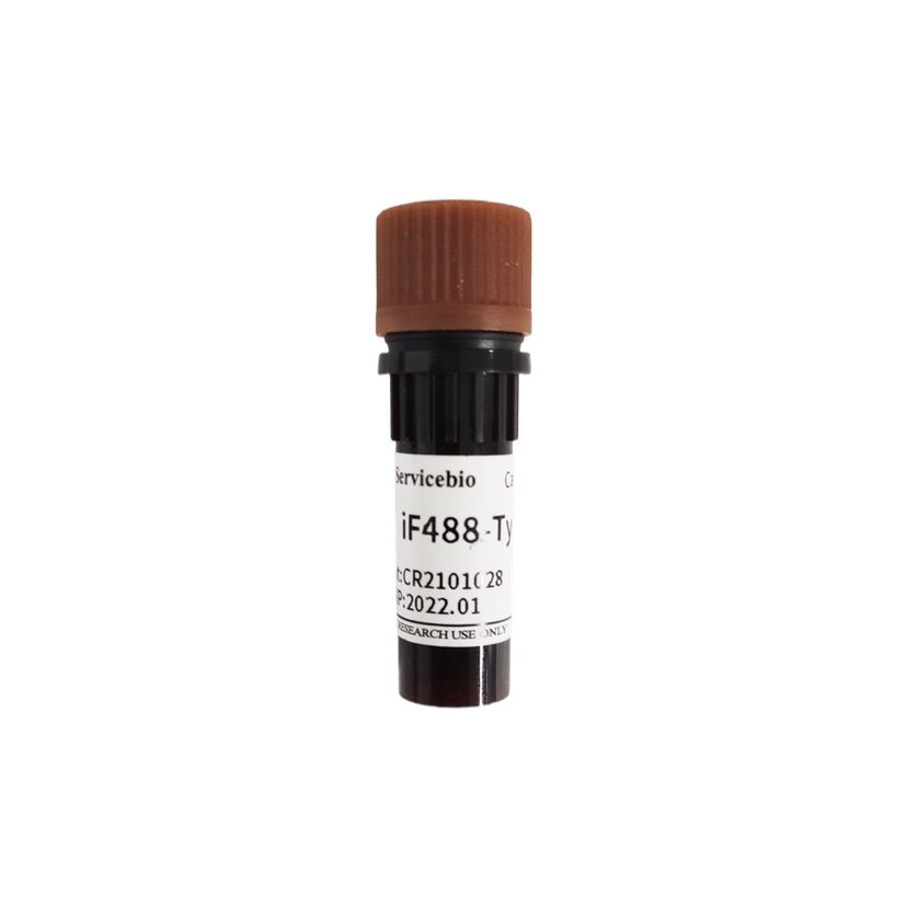 Servicebio iF488-Tyramide 用于酪胺信号放大技术 TSA技术 50&mu;L