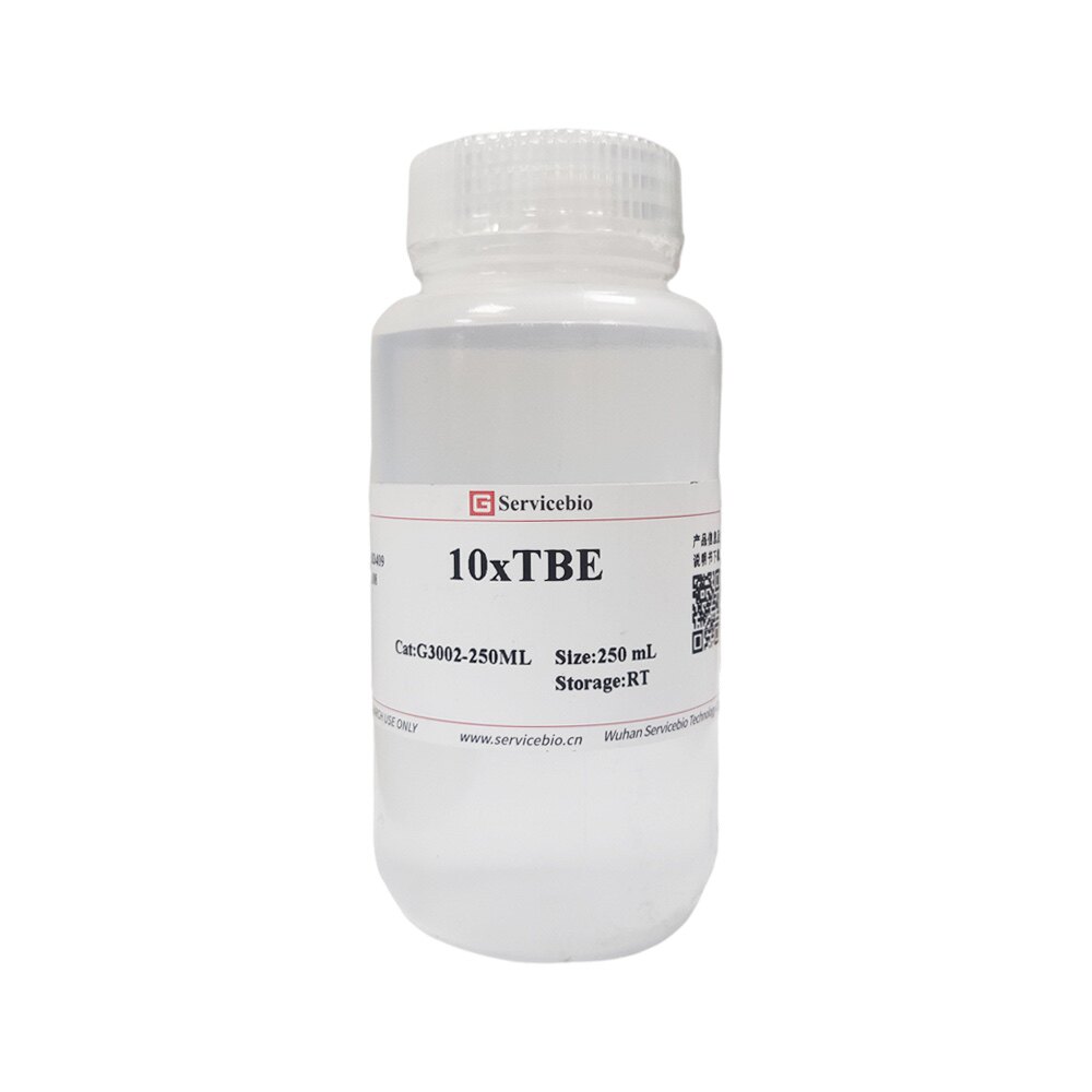 Servicebio 10&times;TBE 250mL 核酸电泳缓冲盐溶液 Tris-Borate-EDTA
