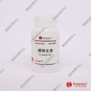 膜再生液 strippingbuffer，一抗洗膜液，二抗洗膜液，适用WB实验