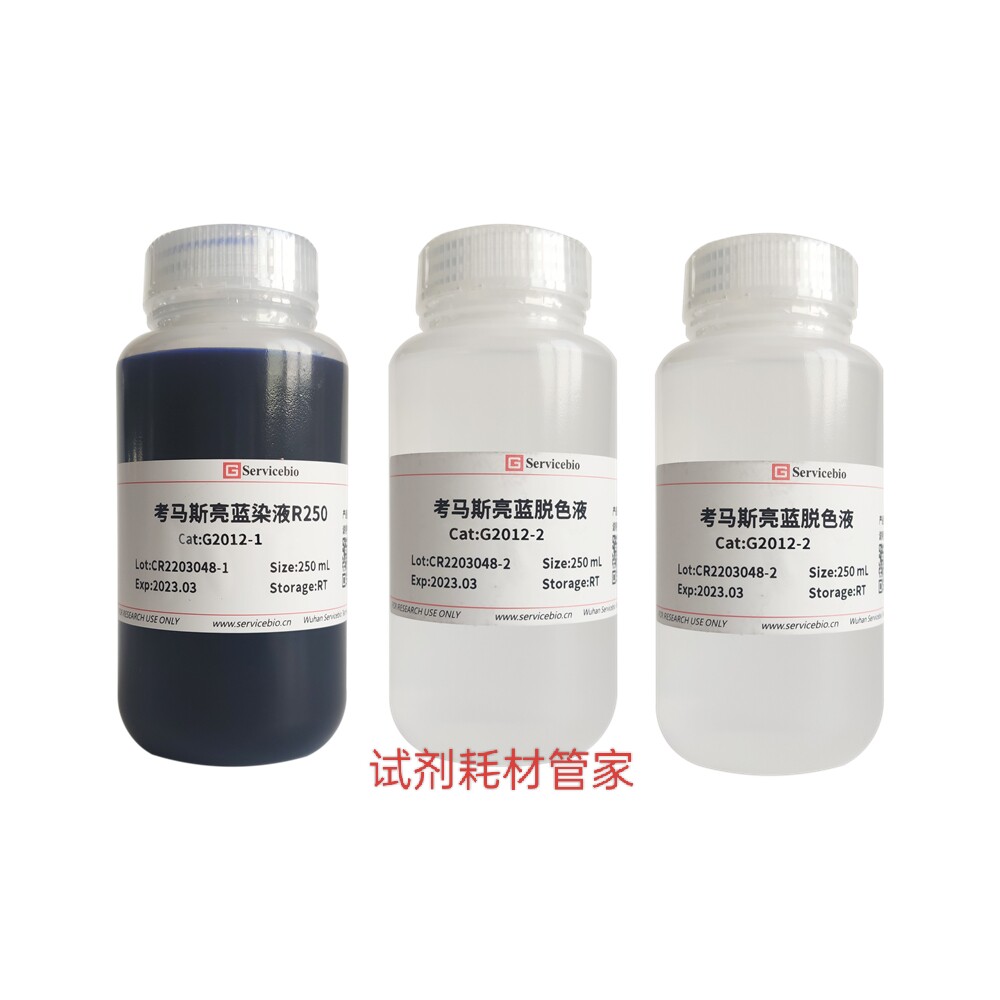 考马斯亮蓝染液试剂盒用于蛋白电泳聚丙烯酰胺凝胶常规染色及脱色