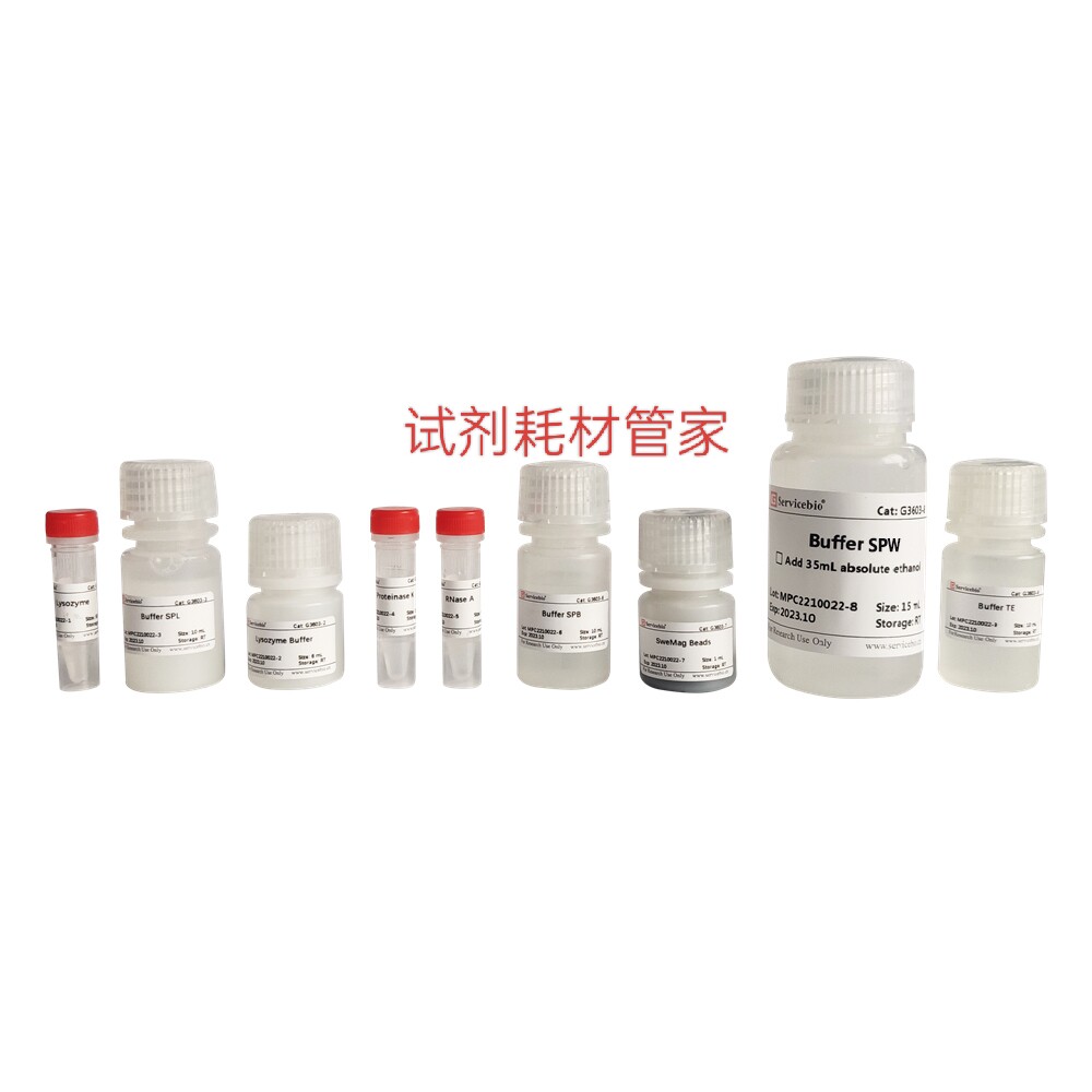 磁珠法细菌基因组DNA提取试剂盒 50T快速提取高质量细菌基因组DNA